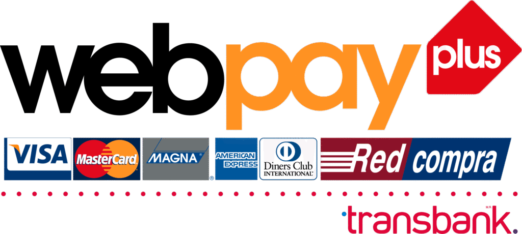 logo web pay plus